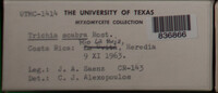 Image Associated With the Occurence